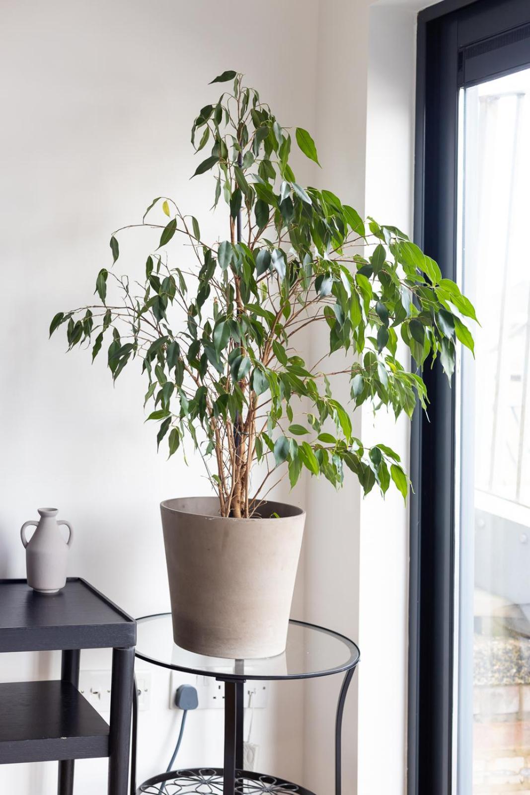 Luxury Penthouse In Central 런던 외부 사진